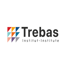 Trebas Institute Lyeneduconsult